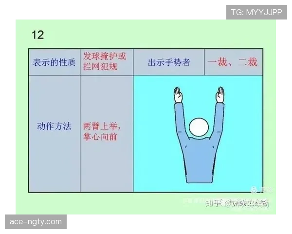 比赛暂停规则解析：裁判何时以及如何判罚停止比赛