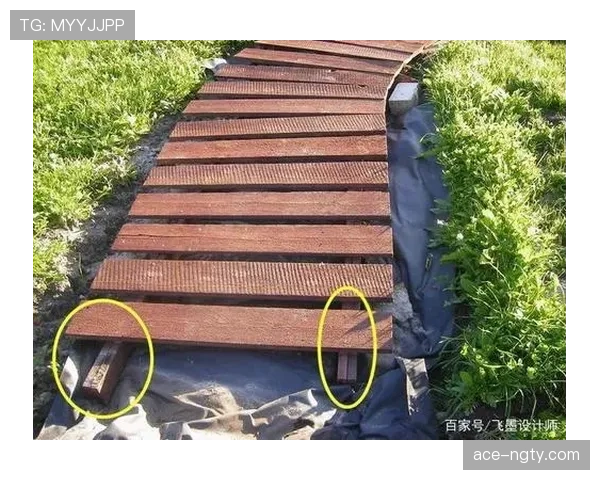 草坪场地规则拆解：标准尺寸与质量如何影响比赛判罚？